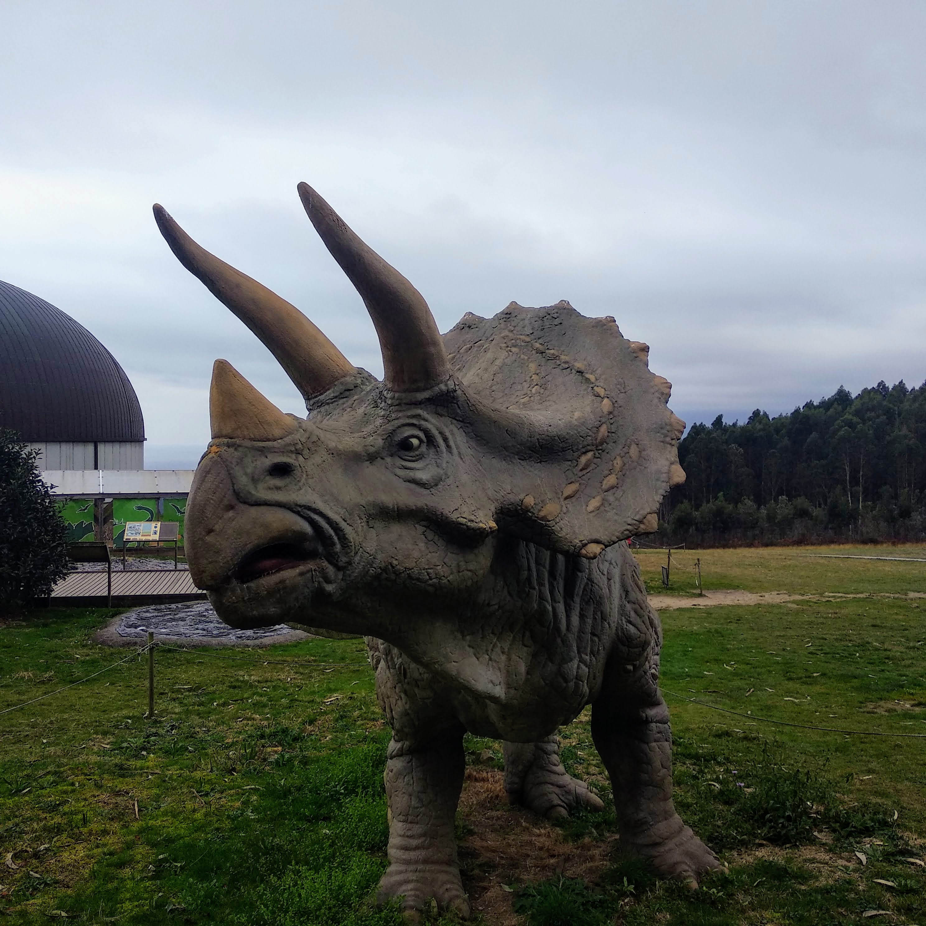 El triceratops del MUJA